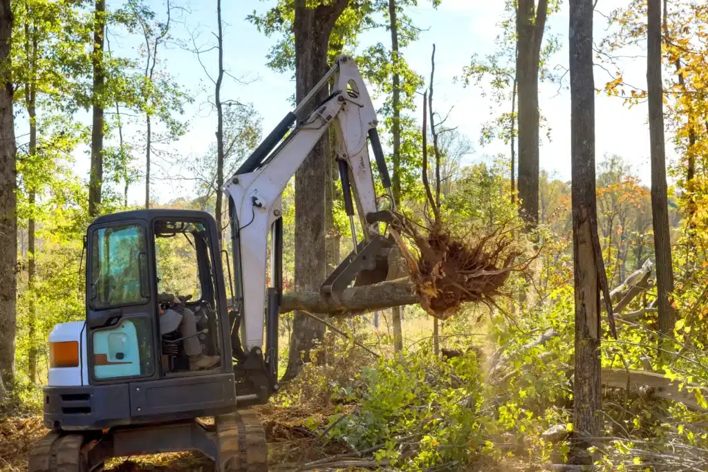 Mini excavator removing tree stump during land clearing project