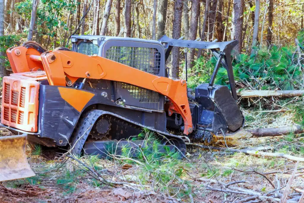 Skid steer forestry mulcher clearing trees and brush in wooded area